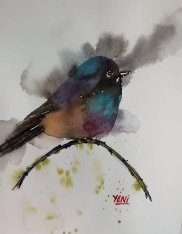 Pajaro